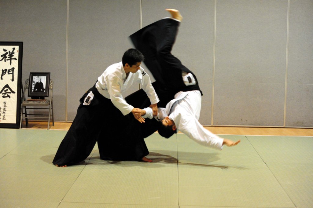 Những điều thú vị về môn võ Aikido độc đáo của Nhật Bản - Tour Nhật Bản - Du Lịch Nhật Bản